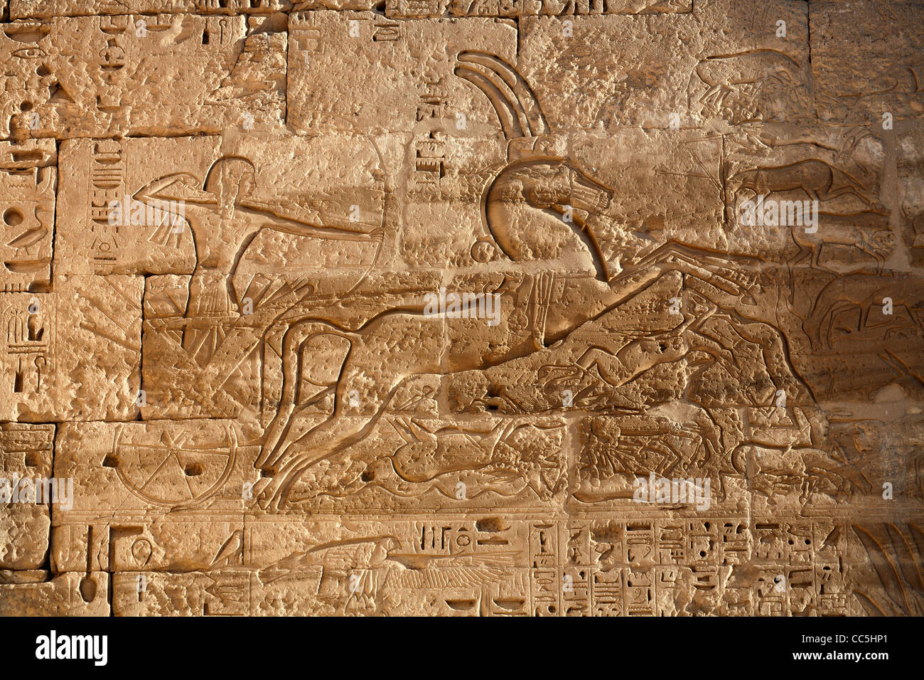 View of Hunting in the marshes scene  in the  Mortuary Temple of Pharaoh Ramesses III, Medinet Habu, West Bank, Luxor, Egypt Stock Photo
