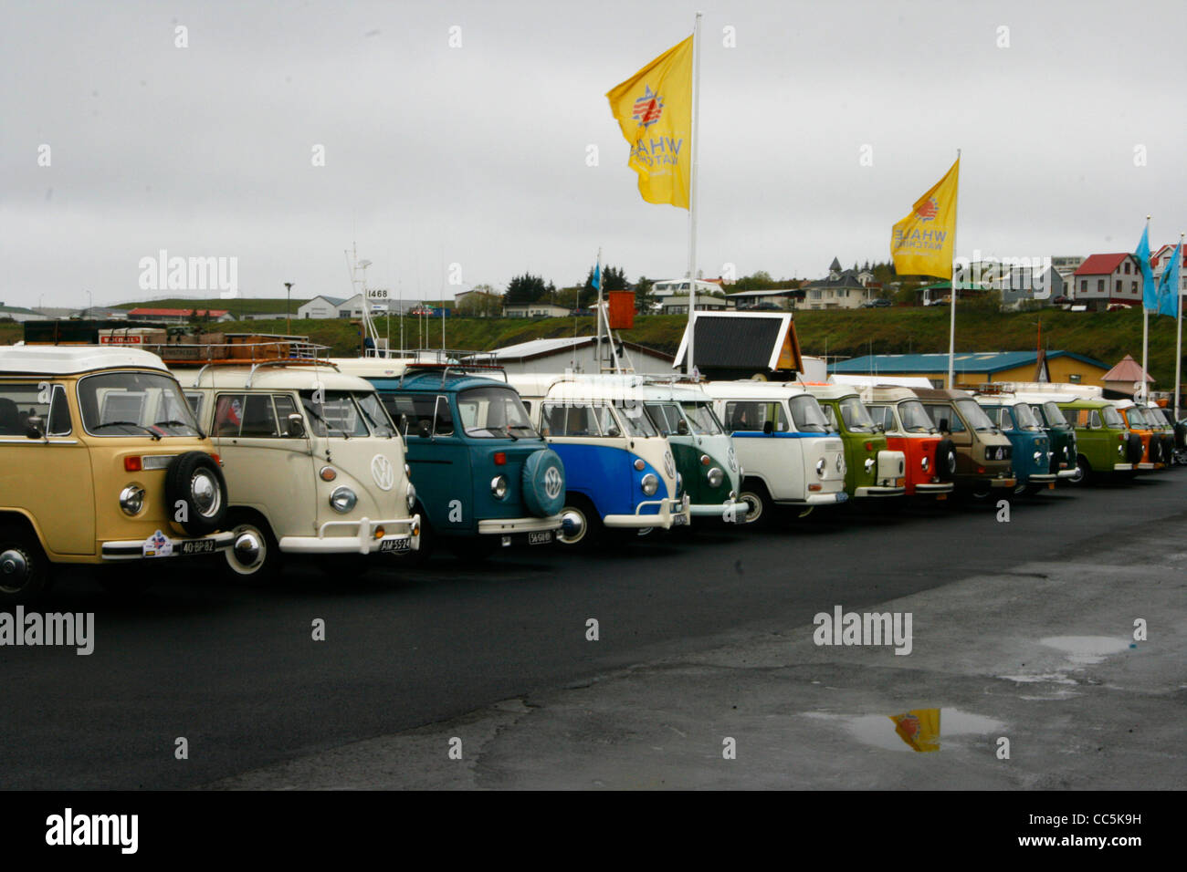 350+ Volkswagen Van Pictures [HD]