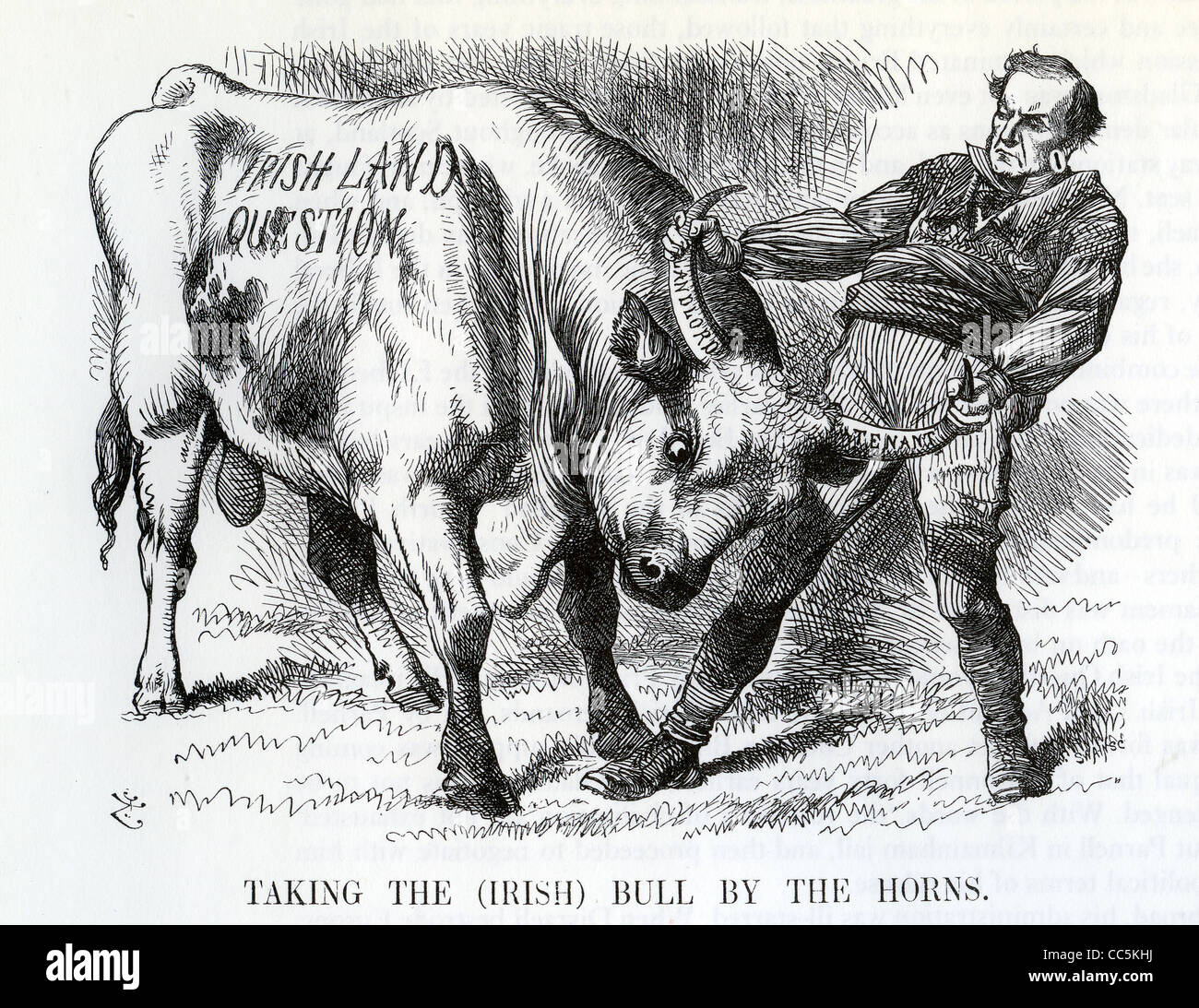 GLADSTONE tackles the Irish Land Question in a cartoon from Punch of February 1870 Stock Photo