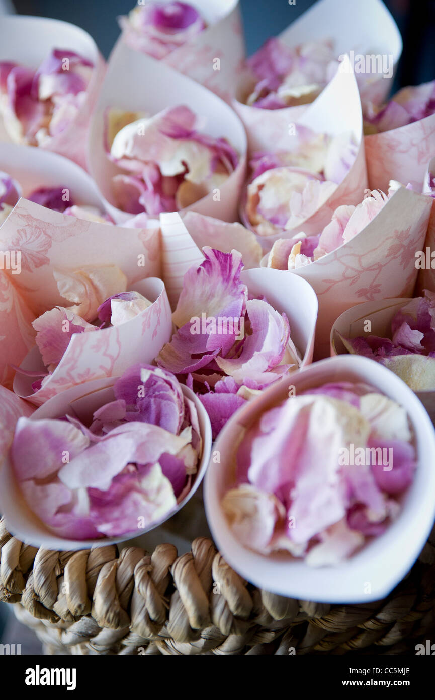 Dried rose petal confetti in paper cones at a UK wedding. Stock Photo