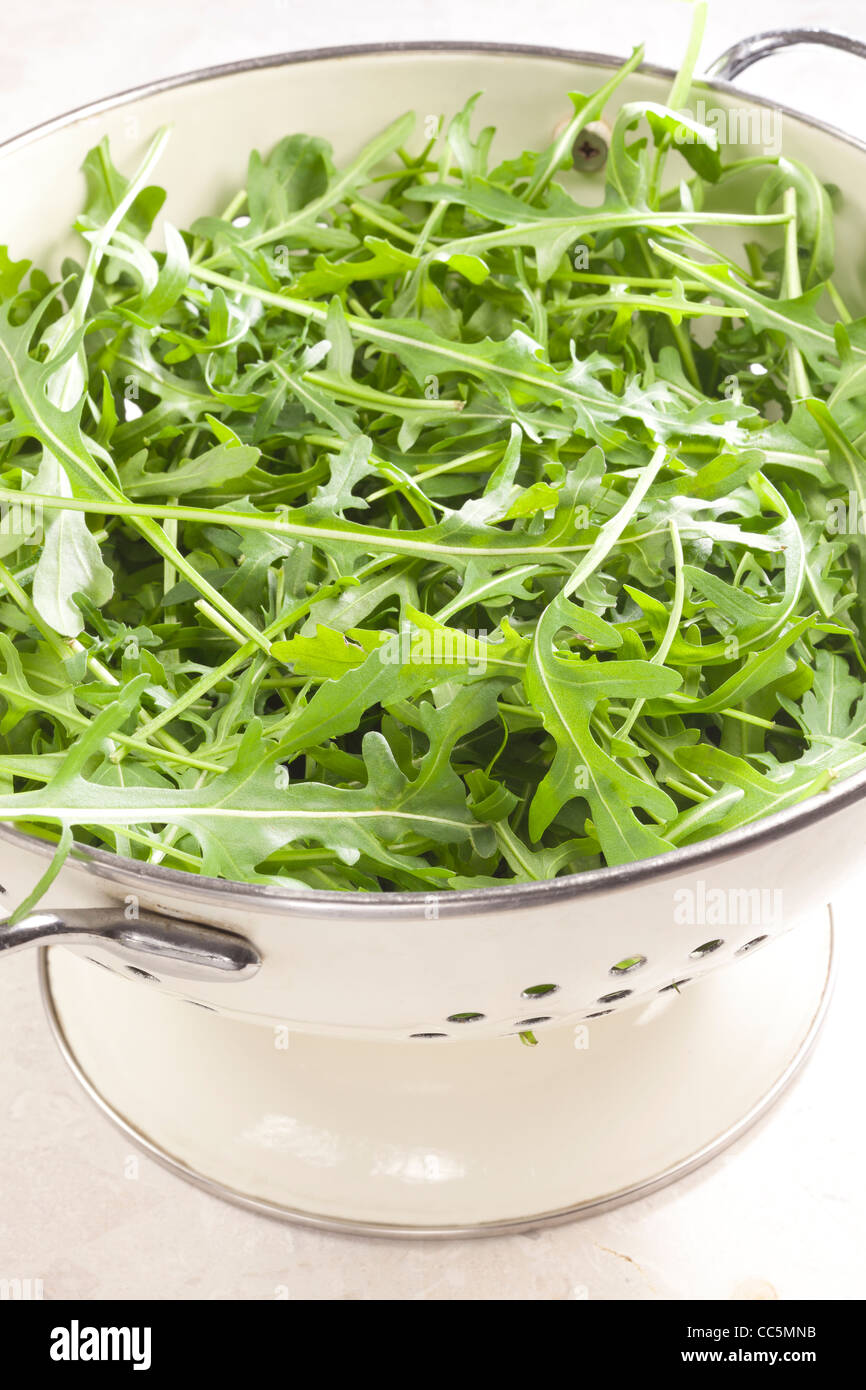 Rucola / rocket Stock Photo