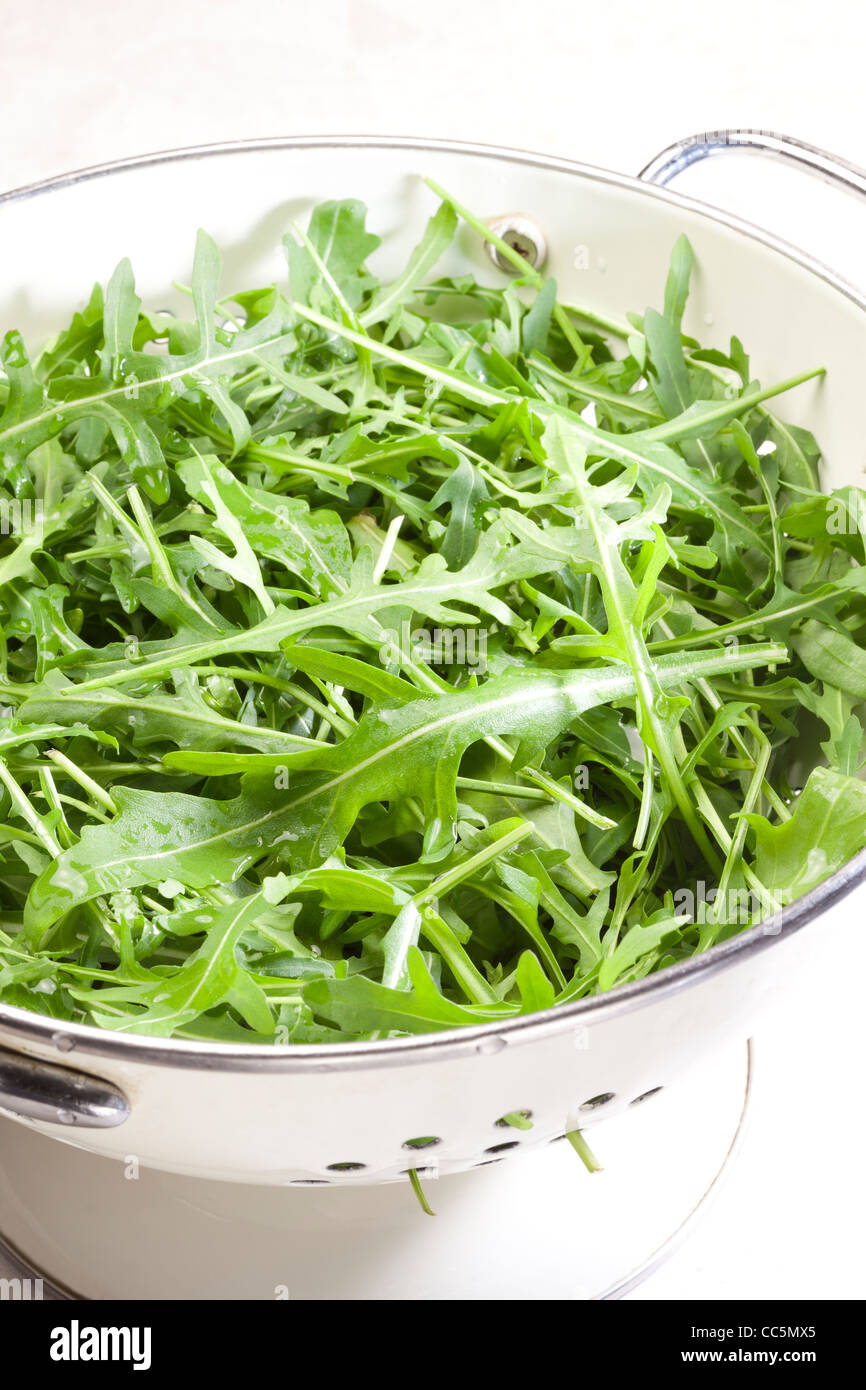 Rucola / rocket Stock Photo