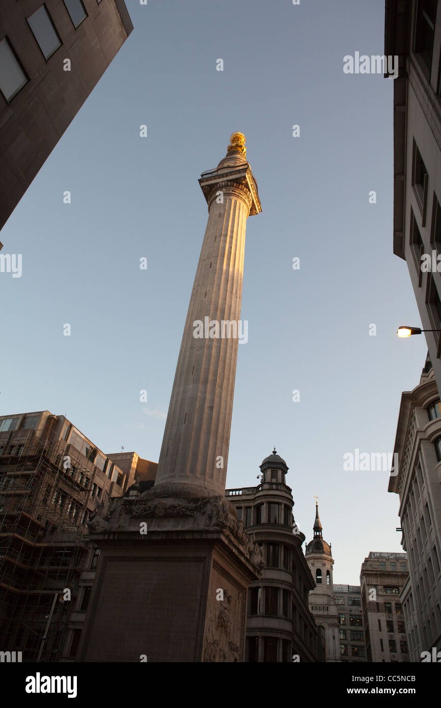 The Monument,City of London,England Stock Photo