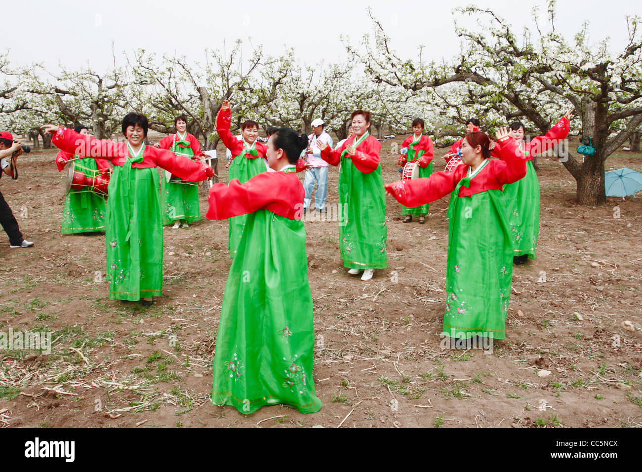 Koreans in traditional costume dancing, Yanbian, Jilin , China Stock Photo