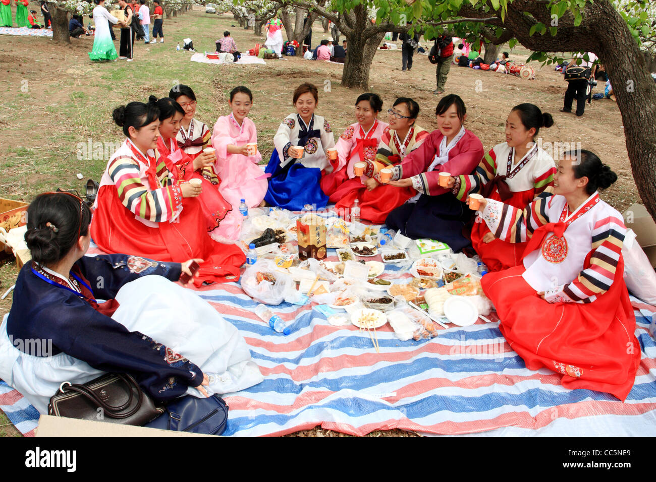 Koreans having picnic, Yanbian, Jilin , China Stock Photo