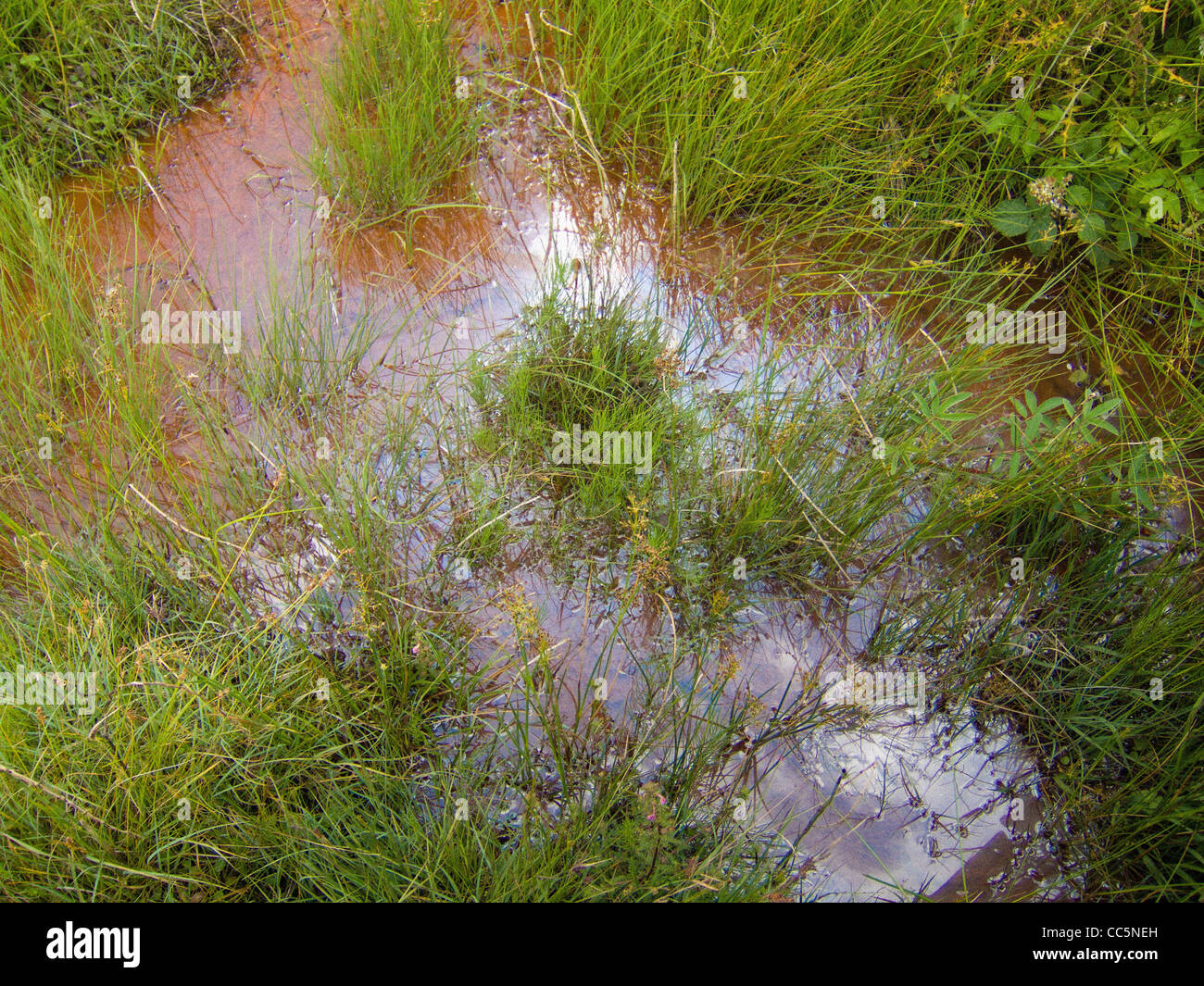 Iron oxide hires stock photography and images Alamy