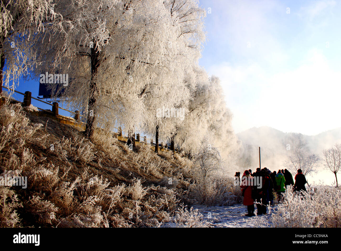 Ice-rimmed trees, Jilin, Jilin , China Stock Photo