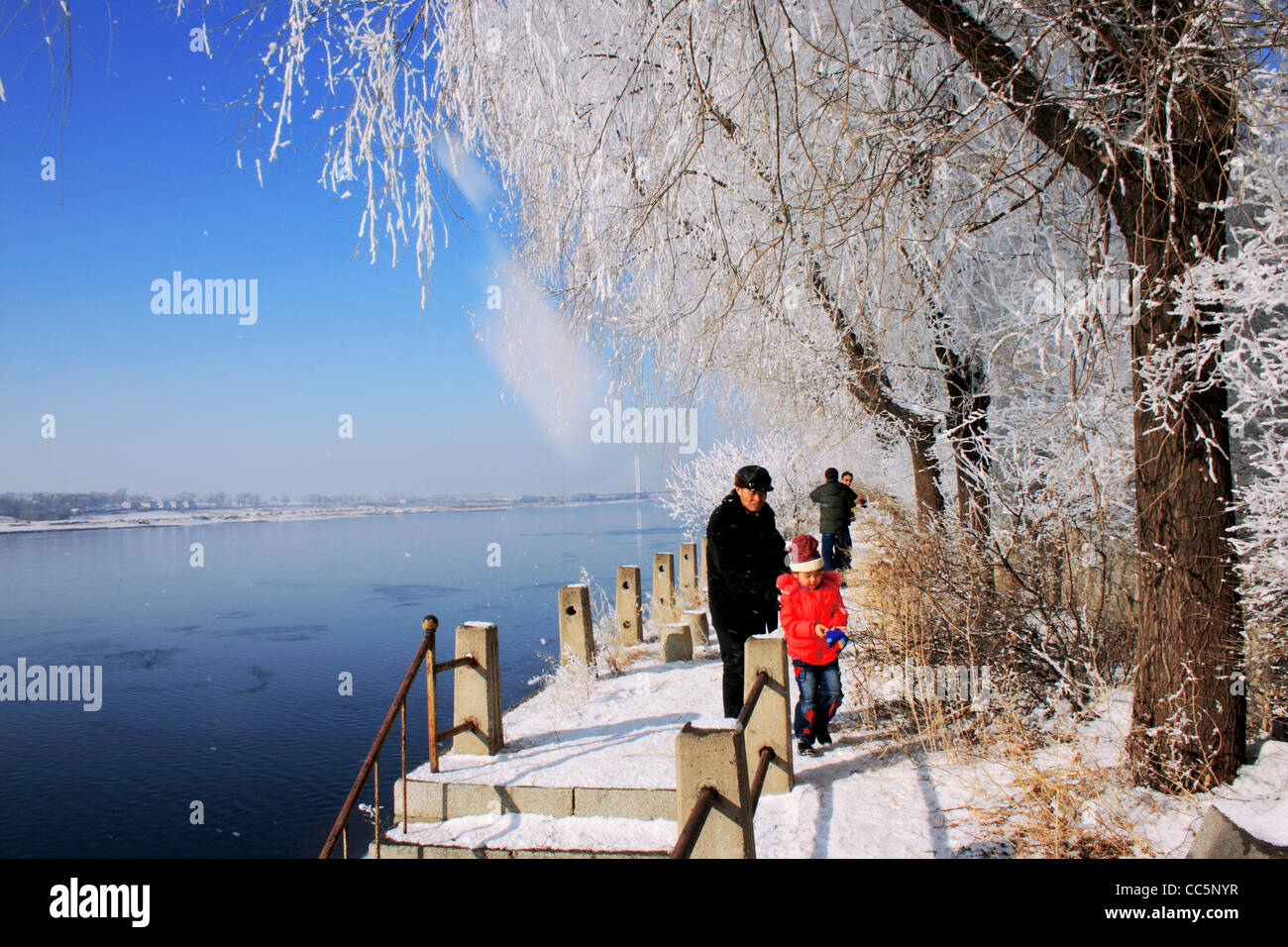 Ice-rimmed trees along Songhua River, Jilin, Jilin , China Stock Photo
