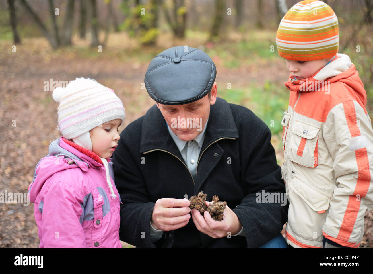 Grandfather with grandsons in wood in autumn with burr Stock Photo