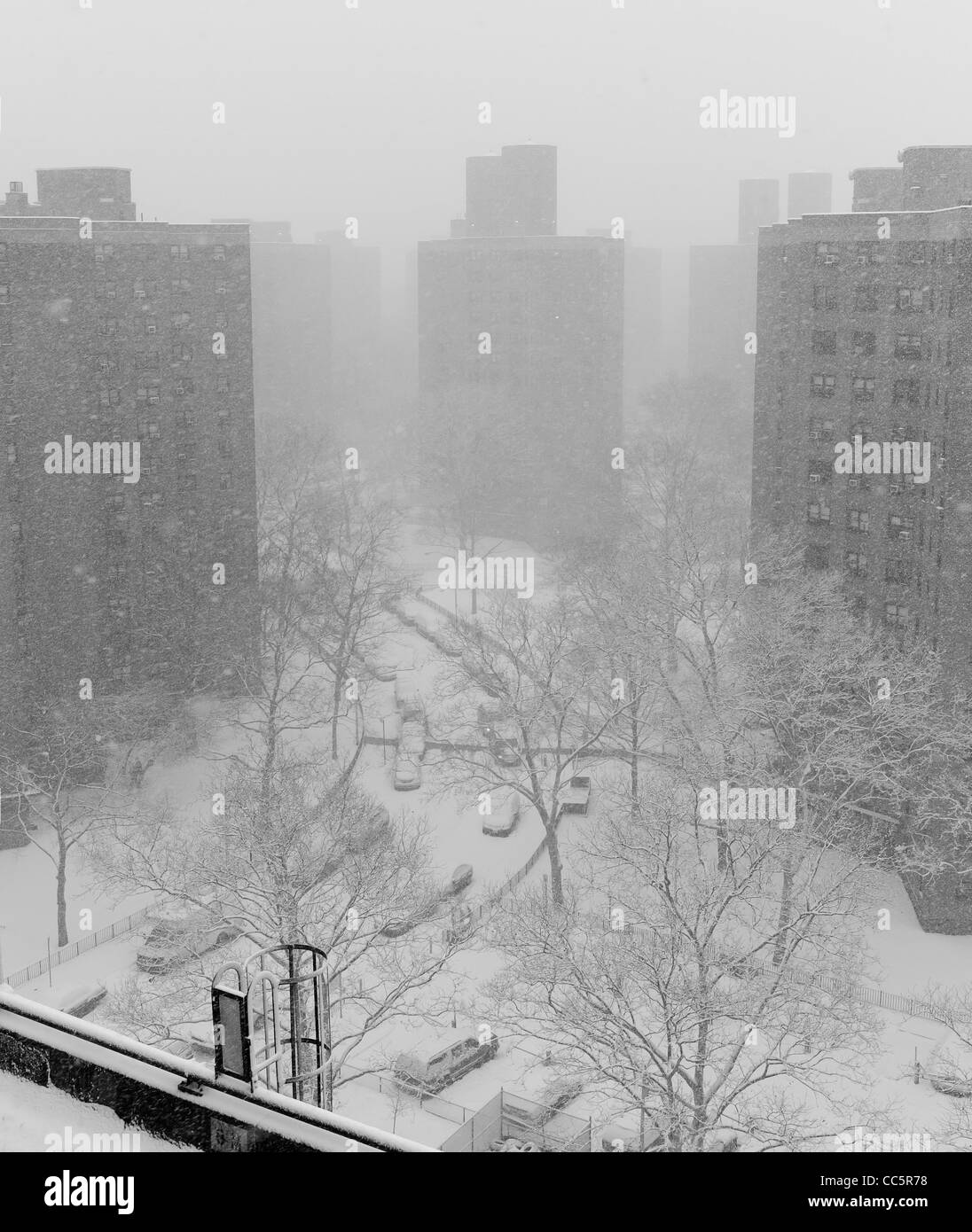 January 26th 2011 Snow seen falling in the Lower east side of