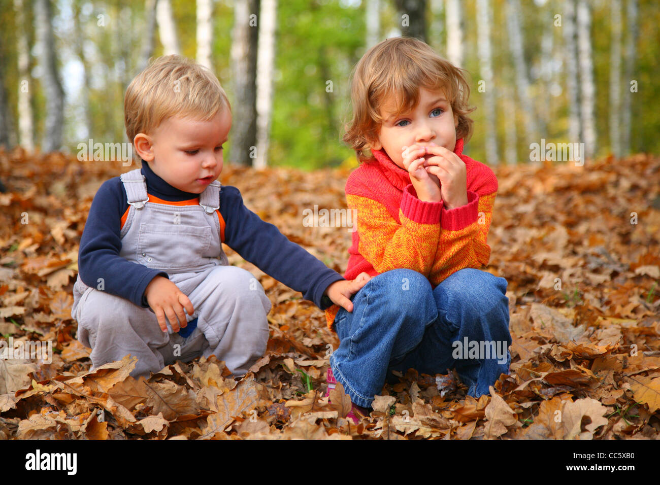 sister with brother children in autumn park Stock Photo