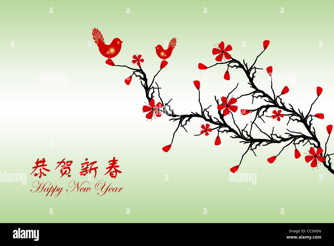 chinese new year background information