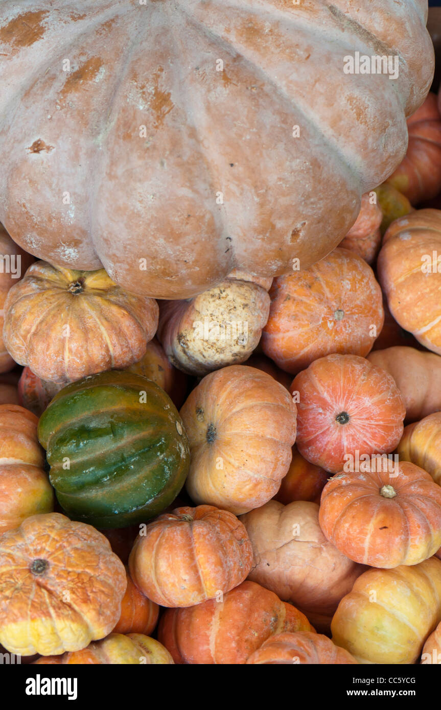 Types of gourds hires stock photography and images Alamy