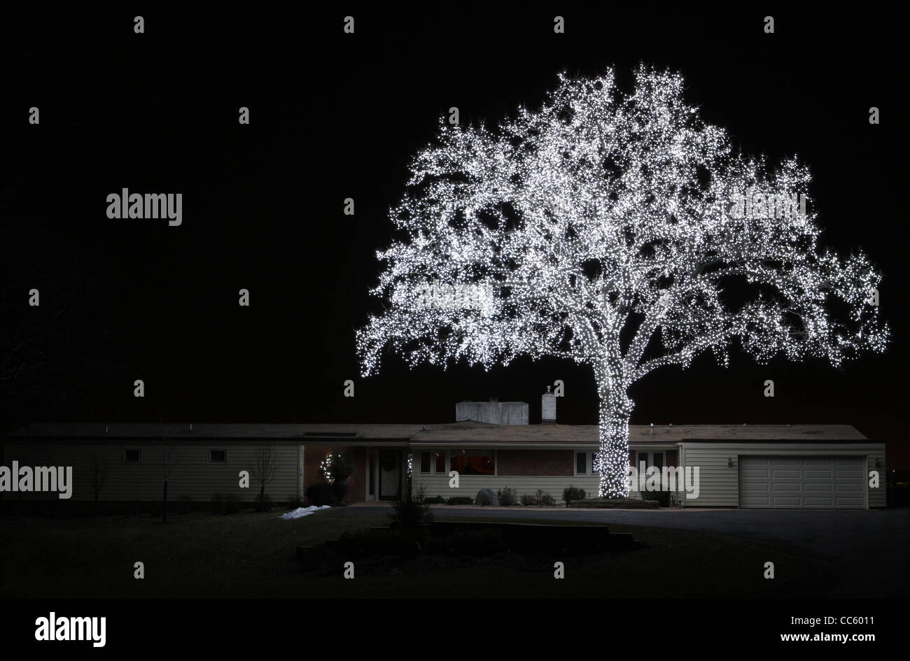 A huge tree covered in lights Stock Photo - Alamy