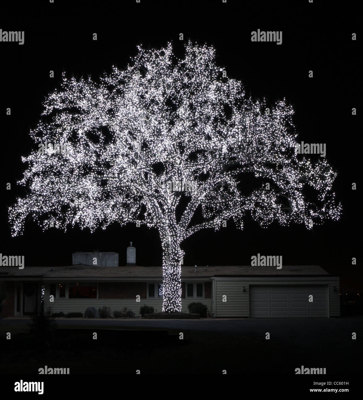 A huge tree covered in lights Stock Photo - Alamy