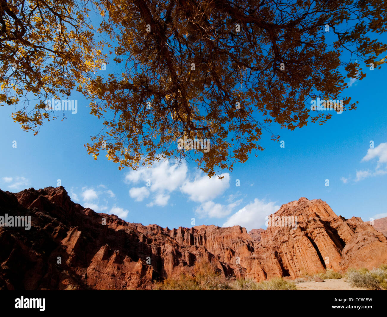 Kuche Grand Canyon, Aksu Prefecture, Xinjiang, China Stock Photo