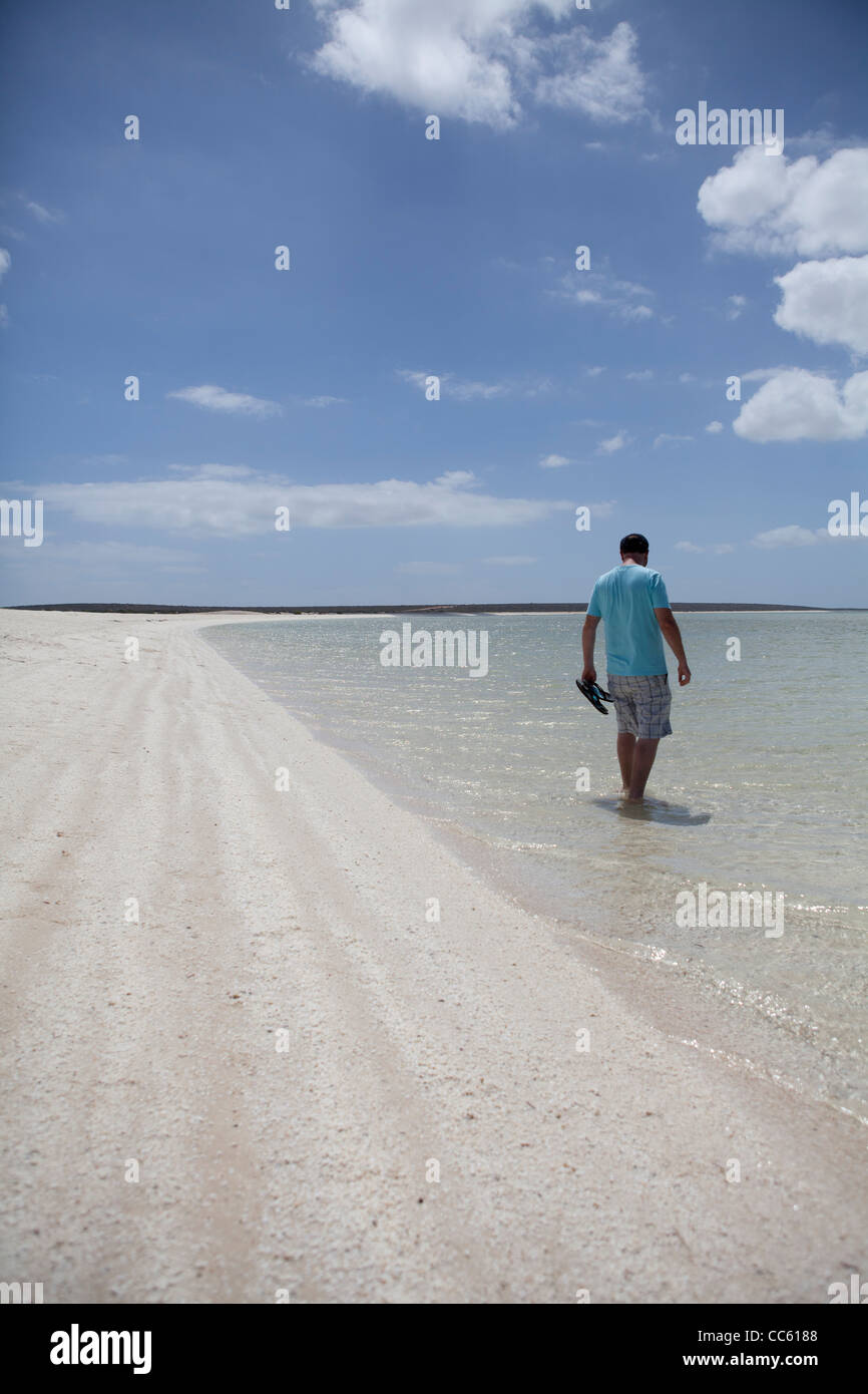 A man walks in the crystal clear seas of the Indian Ocean at Shell Beach in Shark Bay Stock Photo