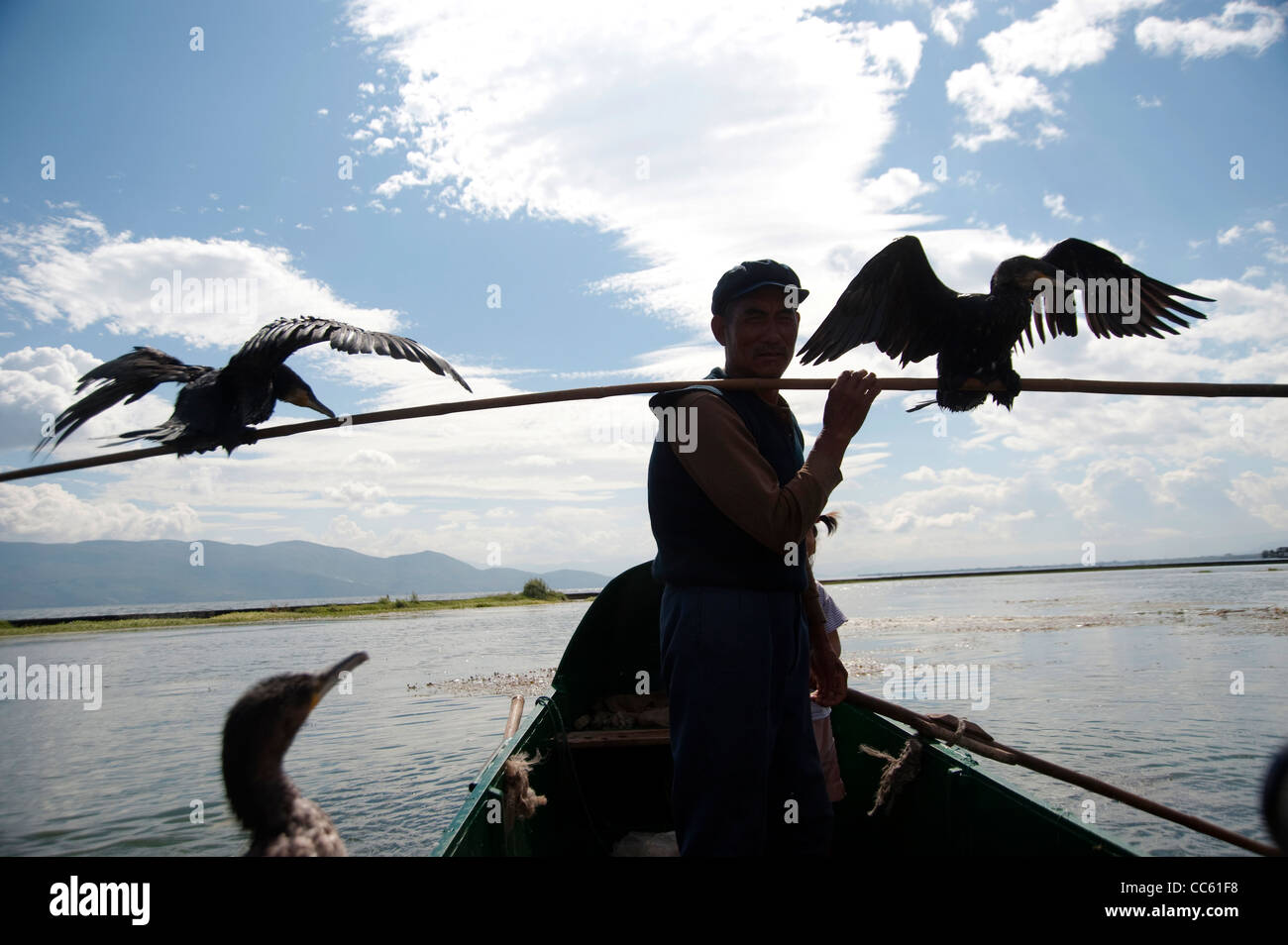 Man carrying two fish eagles on a fishing boat, Erhai Lake, Dali, Yunnan , China Stock Photo