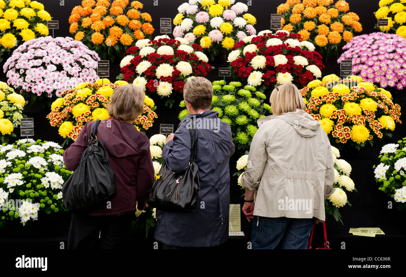 Dundee Flower and Food Festival at Camperdown Park, Dundee. Some of the