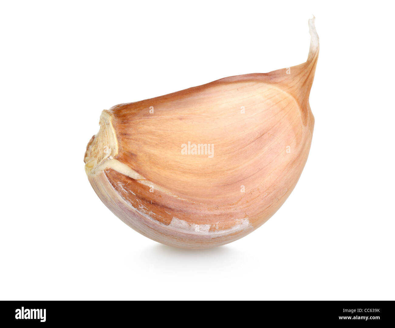 Cloves of garlic isolated on white background Stock Photo - Alamy