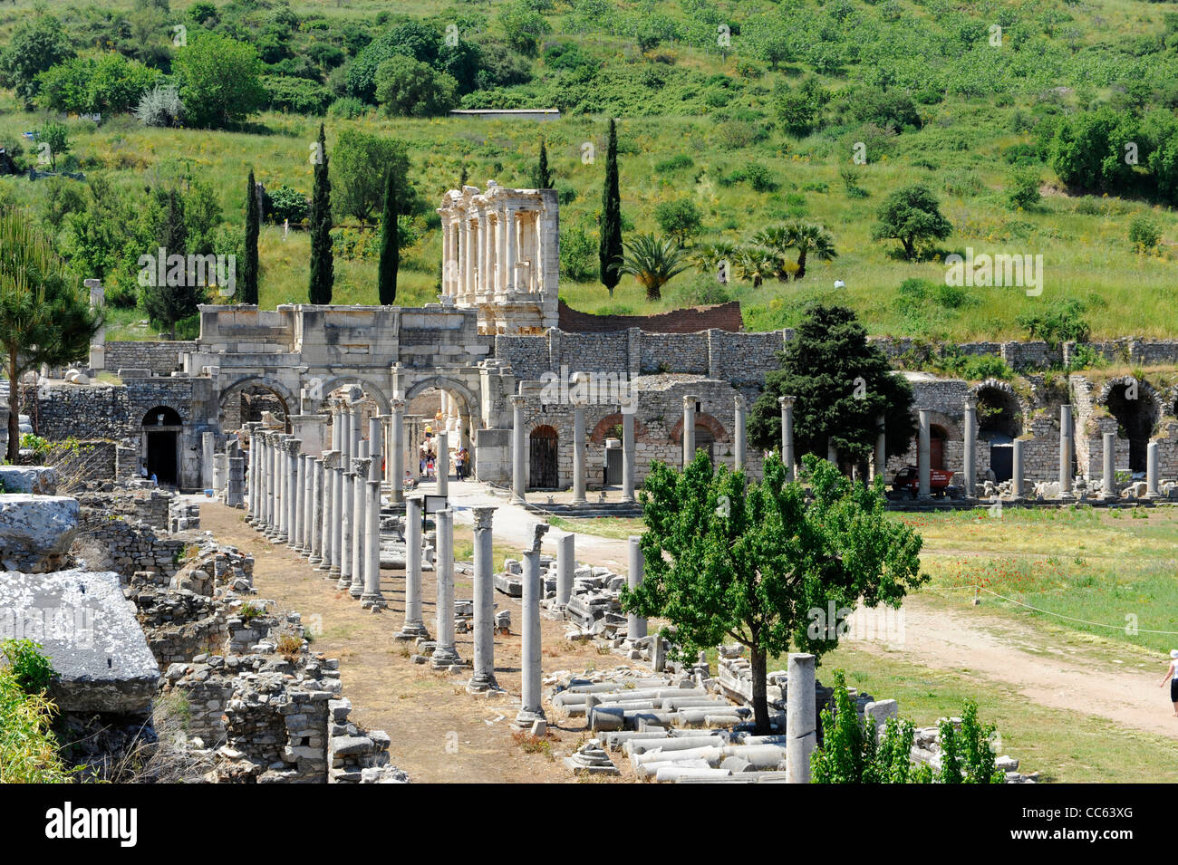 Marble Street Ancient Ephesus Turkey Kusadasi Aegean Mediterranean