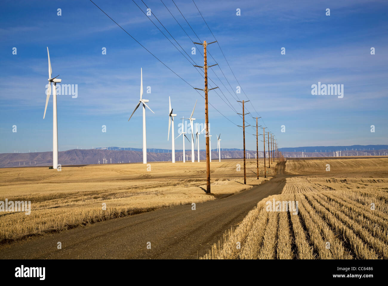 Wind turbines dot the horizon at wind farms along the Columbia River Gorge, Oregon and Washington Stock Photo