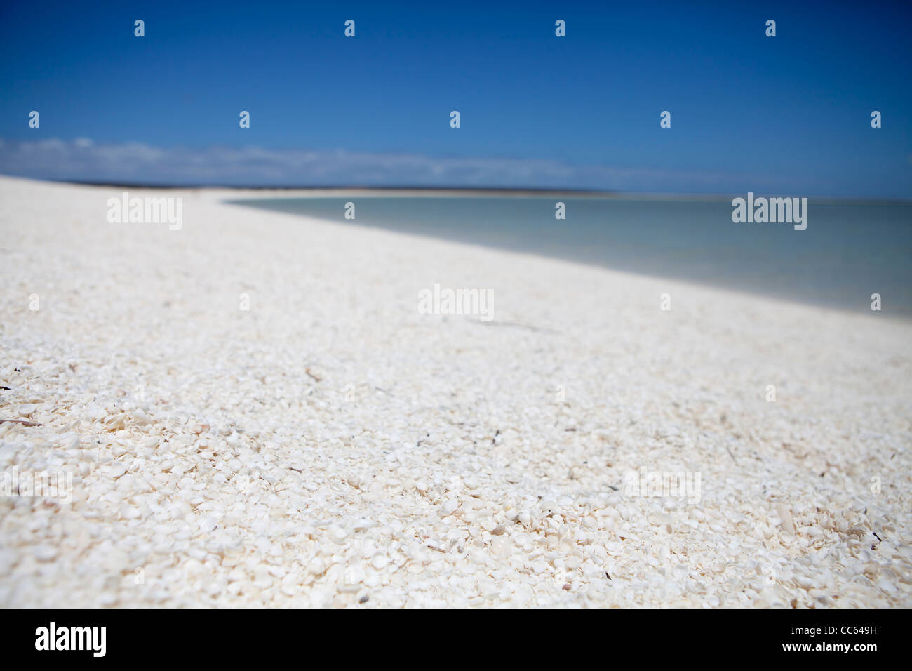 A close up of the shells on shell beach with the tropical blue waters behind. Stock Photo