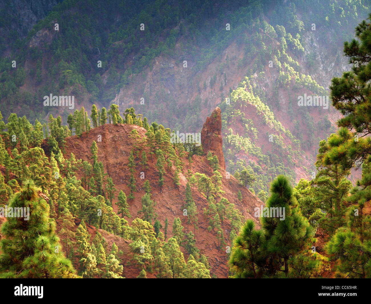 Forest clinging to slopes inside the volcanic crater on La Palma, Canary Islands, Spain Stock Photo