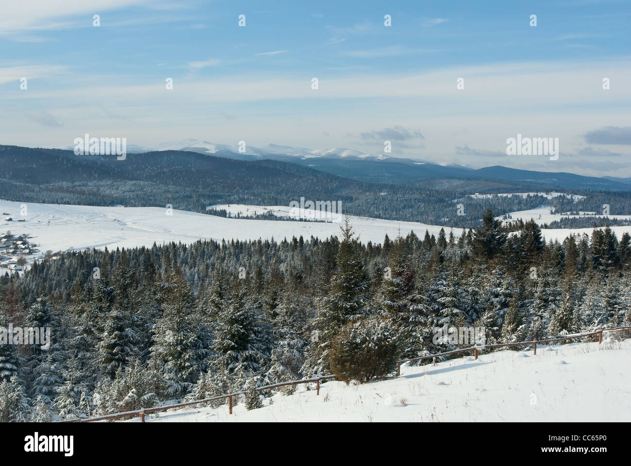 Fir trees covered with snow on a winter mountains and blue sky Stock ...
