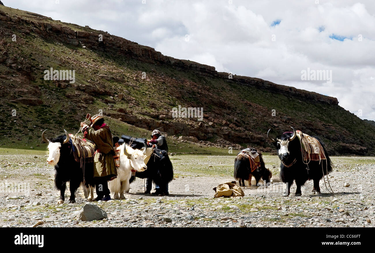 Tibetan men hi-res stock photography and images - Alamy