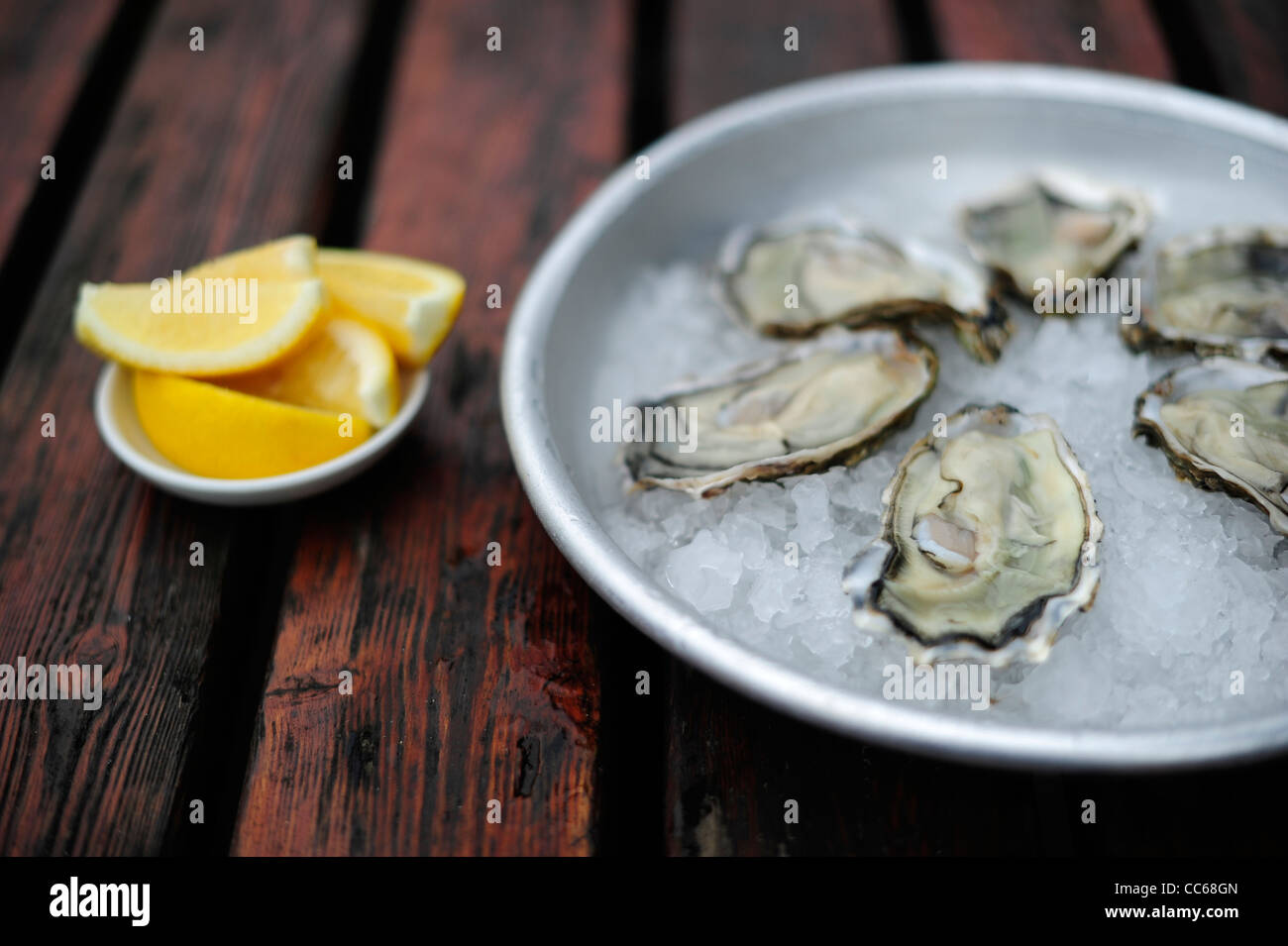 Fresh Oysters pictured on a plate Stock Photo