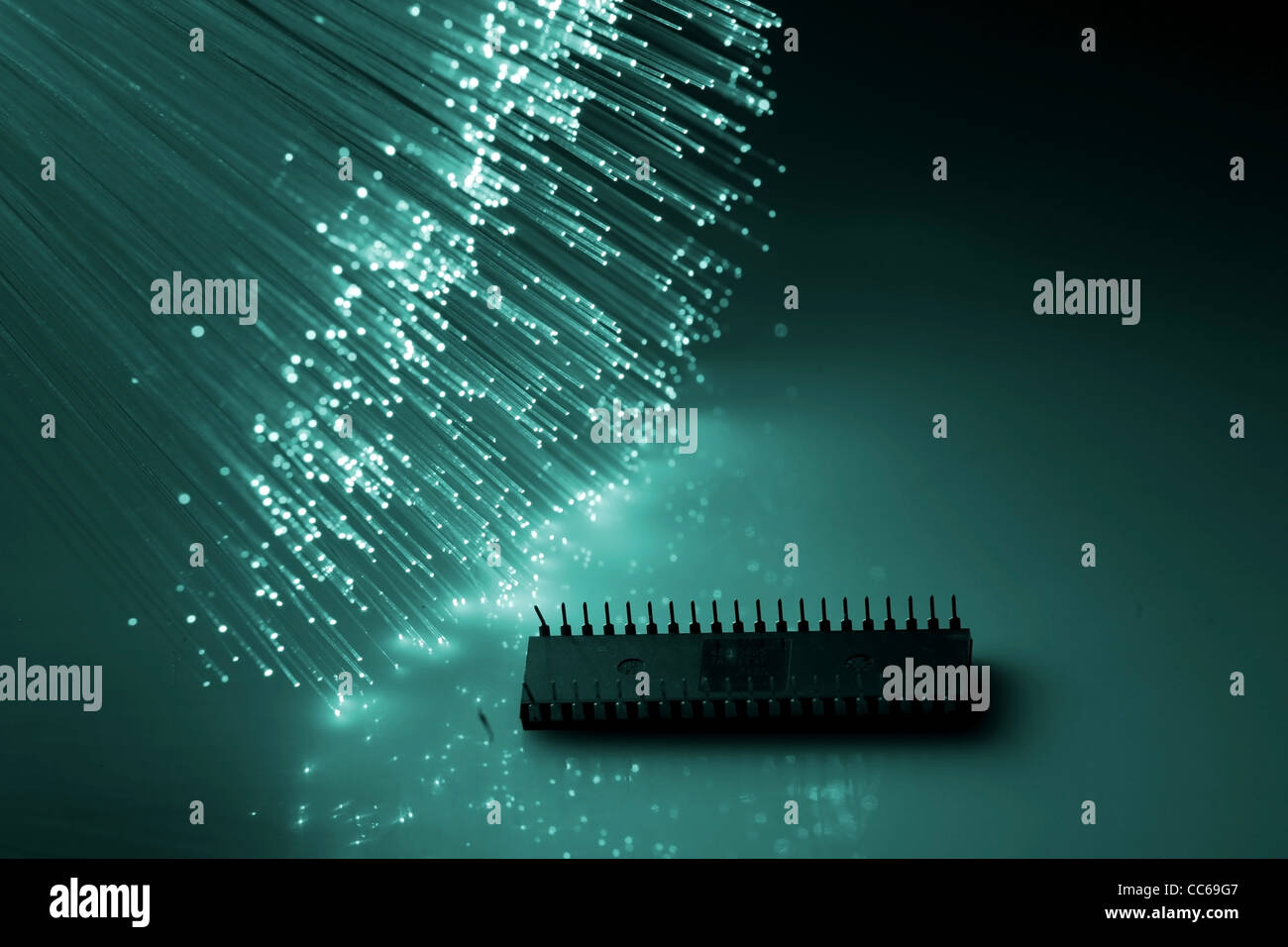 Fibre cells hi-res stock photography and images - Alamy