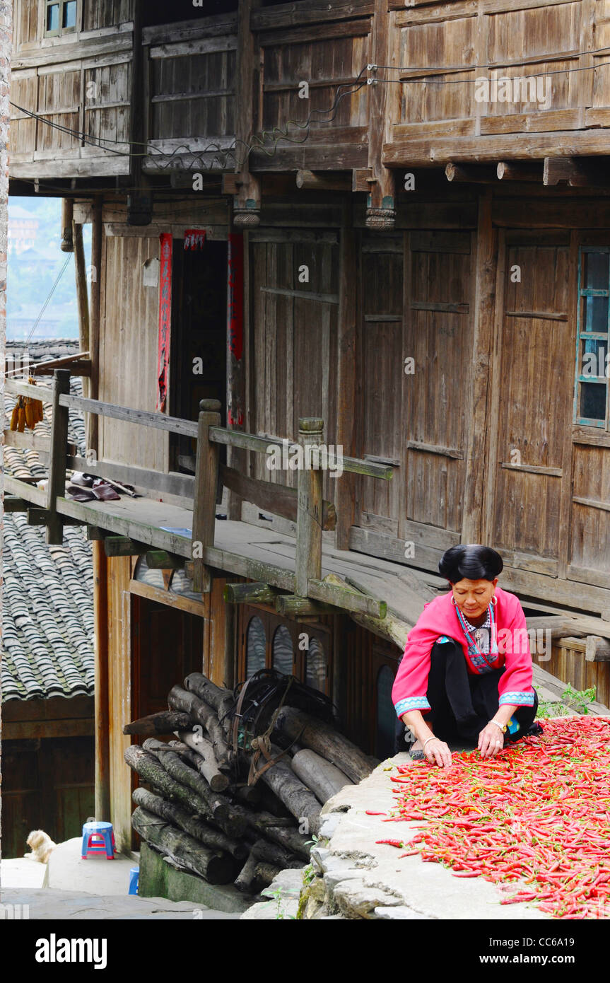 Red Yao woman drying cayenne pepper, Huangluo Yao Village, Longsheng, Guilin, Guangxi , China Stock Photo
