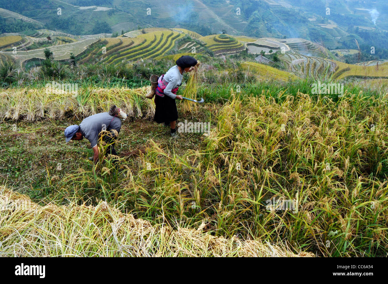 Red Yao people doing farm work, Huangluo Yao Village, Longsheng, Guilin, Guangxi , China Stock Photo