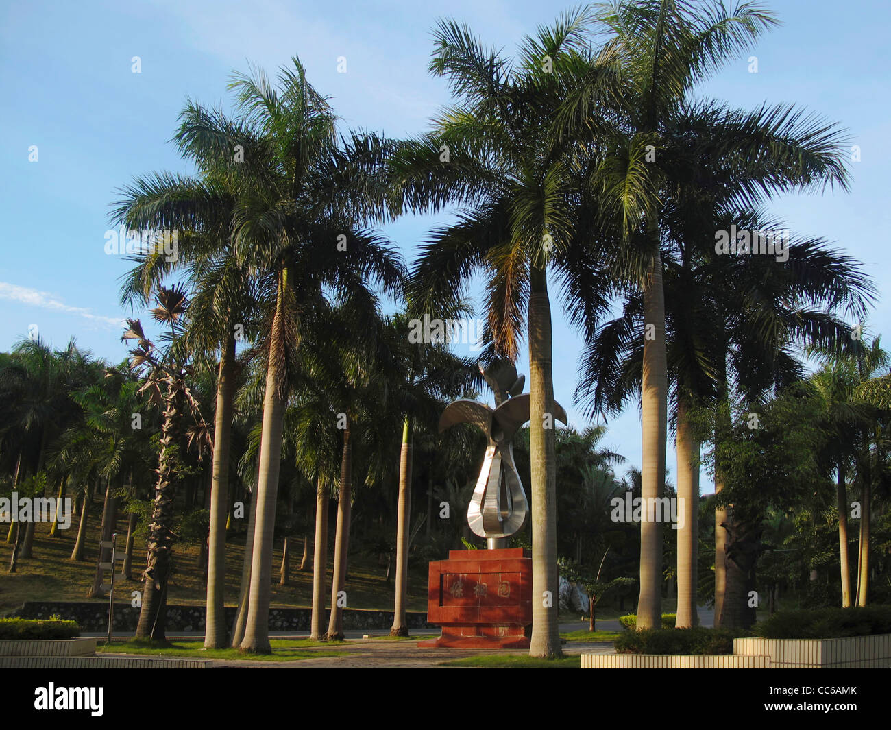 Palm Tree Garden, Nanning, Guangxi , China Stock Photo