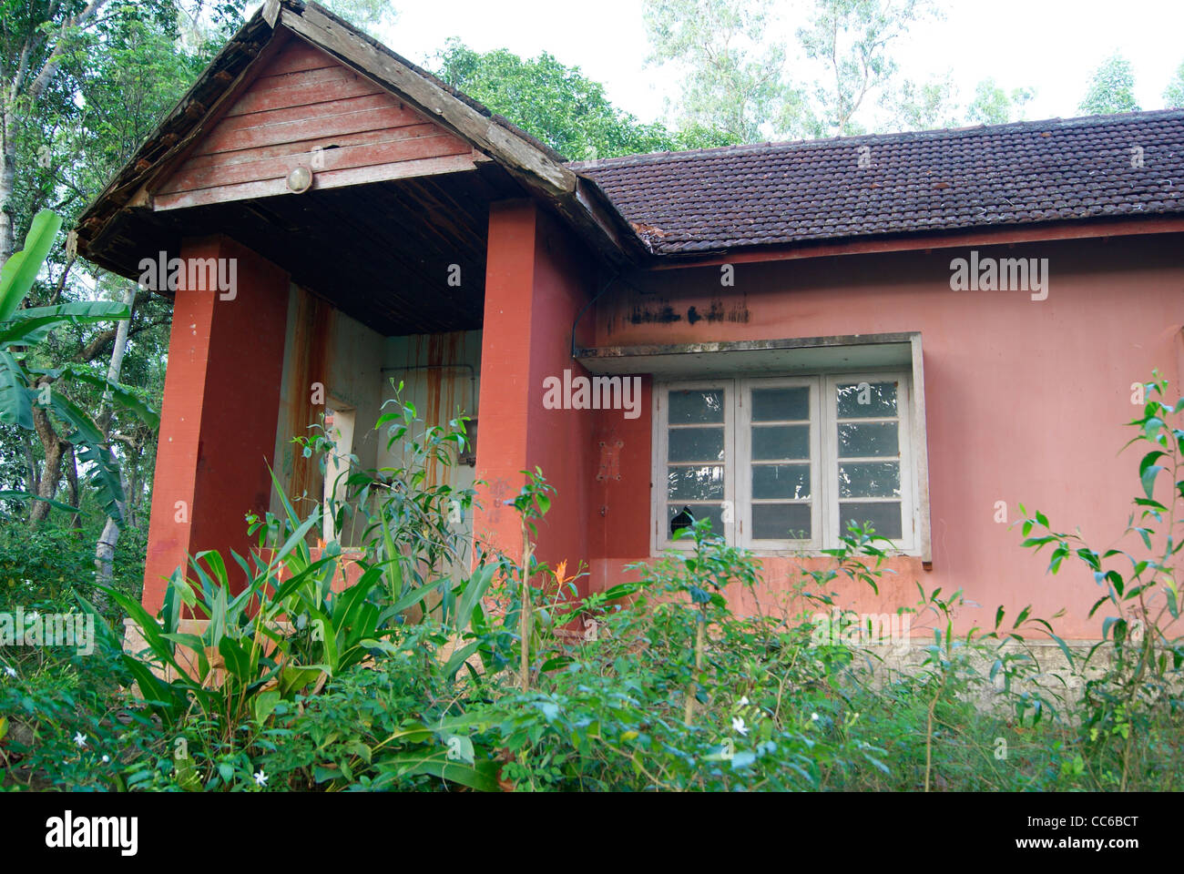 Wrecked Old Government Forest Guest House Stock Photo