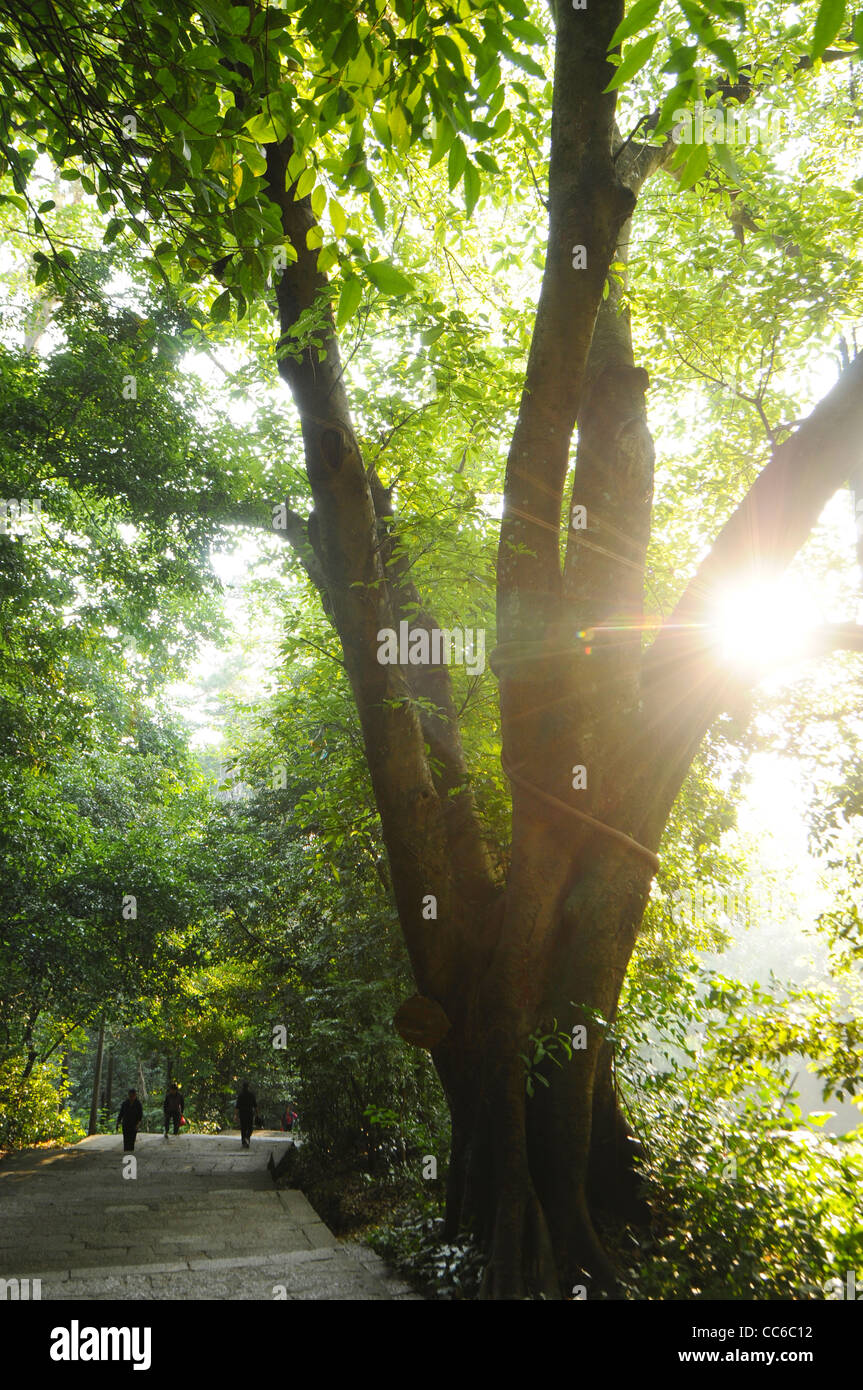 Mt. Xishan Scenic Resort of Guiping, Guigang, Guangxi , China Stock Photo