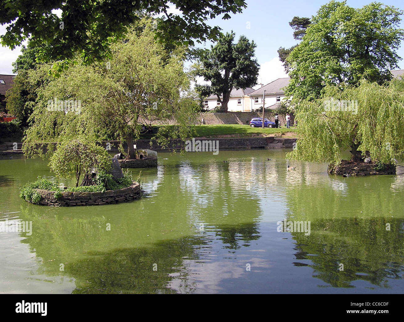 The village duck pond in Winterbourne, near Bristol, England. Stock Photo