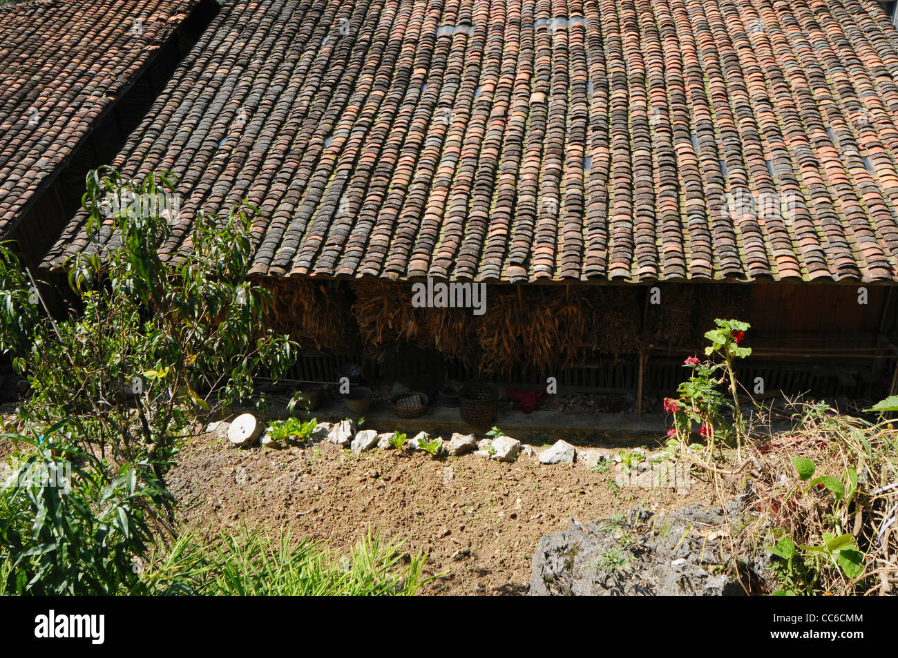 Heiyi Zhuang traditional house, Napo Heiyi Zhuang Folk Area, Baise, Guangxi , China Stock Photo