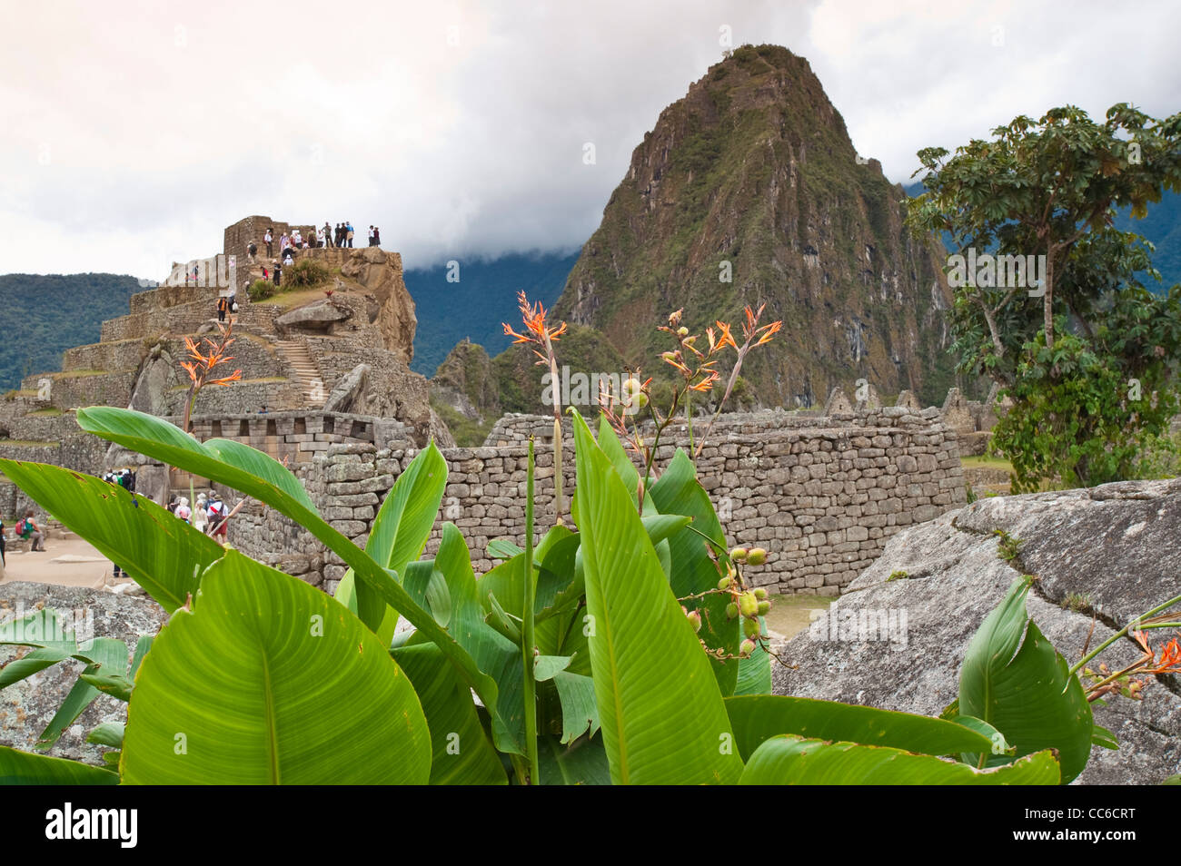 Machu Picchu unesco world heritage site ancient Inca stone remains ruins, Aguas Calientes, Peru. Stock Photo