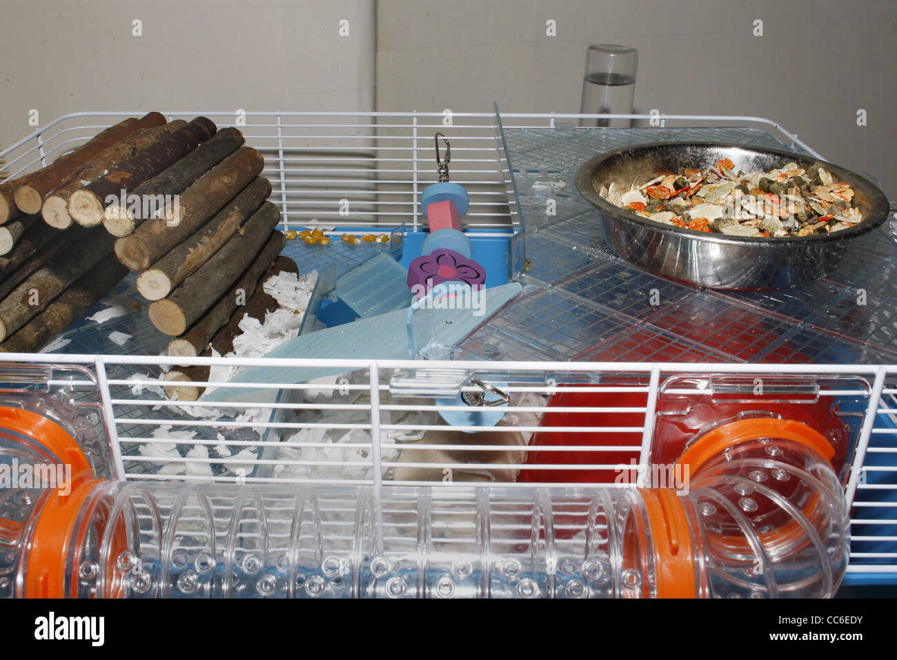 rat cage filled with bedding and toys Stock Photo Alamy