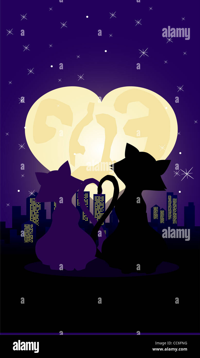 Stars and cats hi-res stock photography and images - Alamy