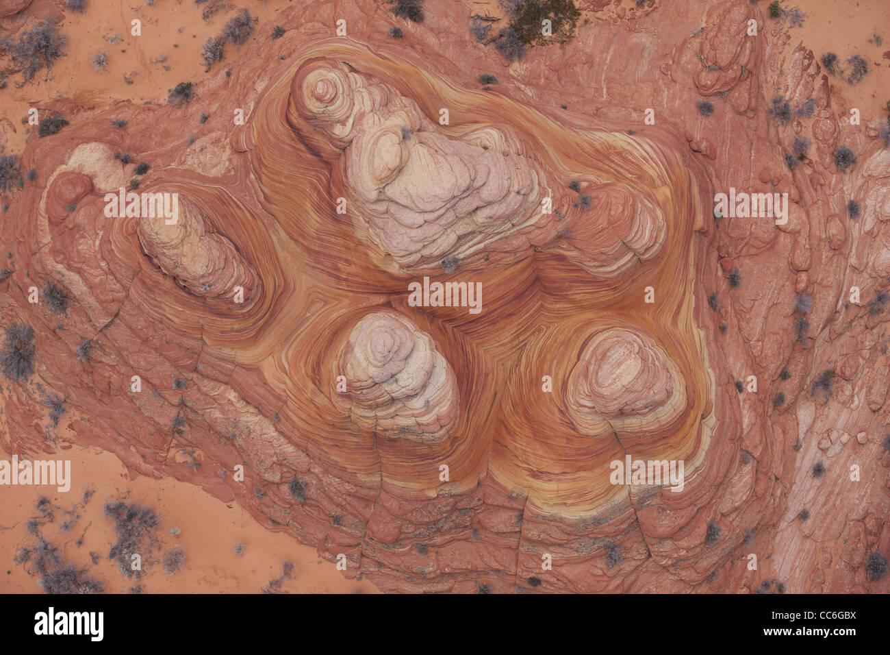 VERTICAL AERIAL VIEW. Colorful mounds of aeolian sandstone. Coyote Buttes, Vermilion Cliffs National Monument, Coconino County, Arizona, USA. Stock Photo