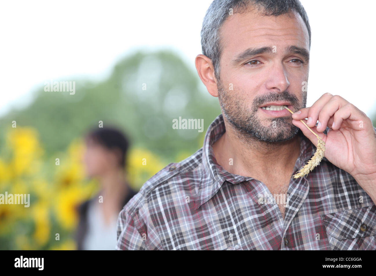 Chewing straw hi-res stock photography and images - Alamy