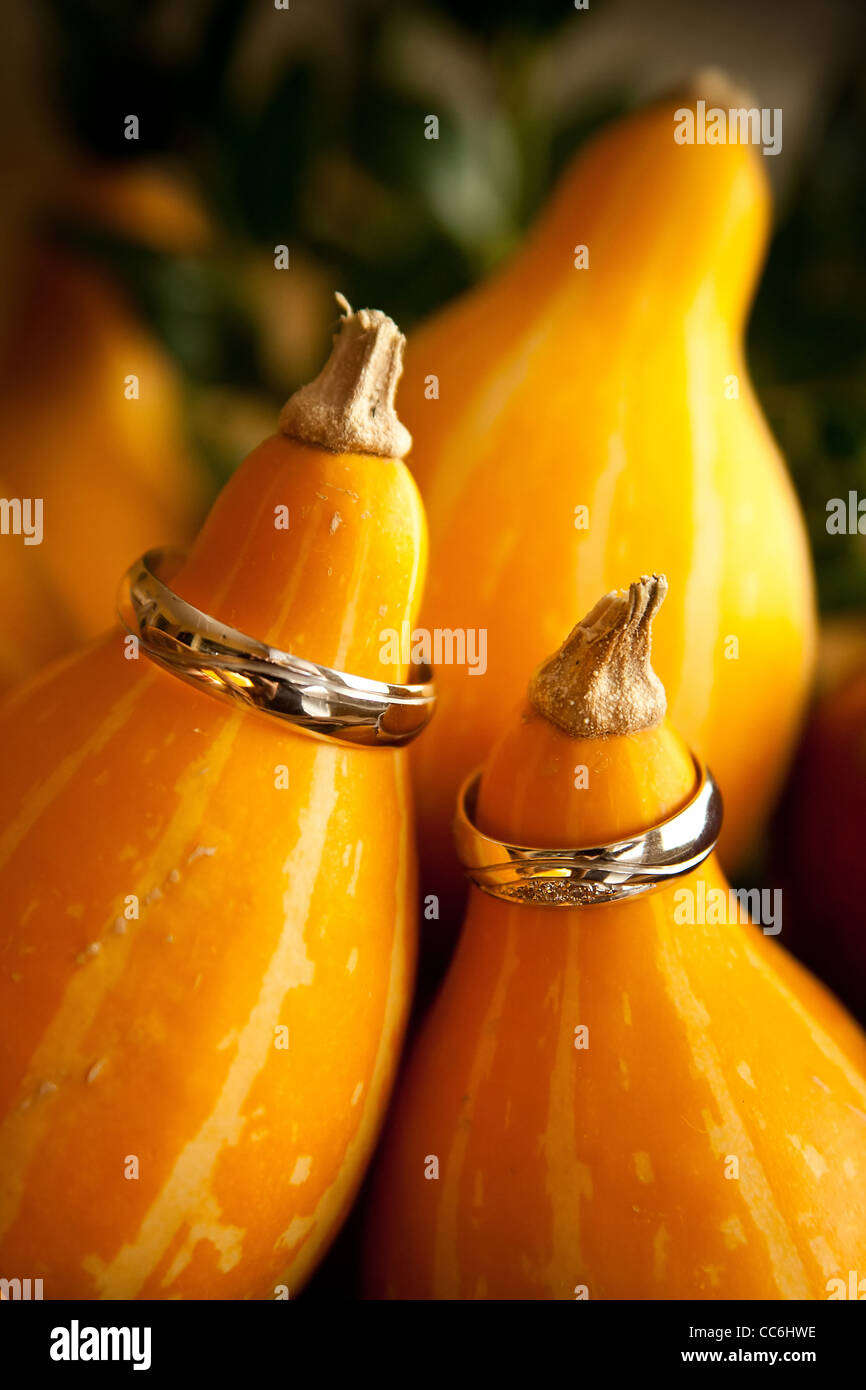 wedding rings on pumpkin Stock Photo
