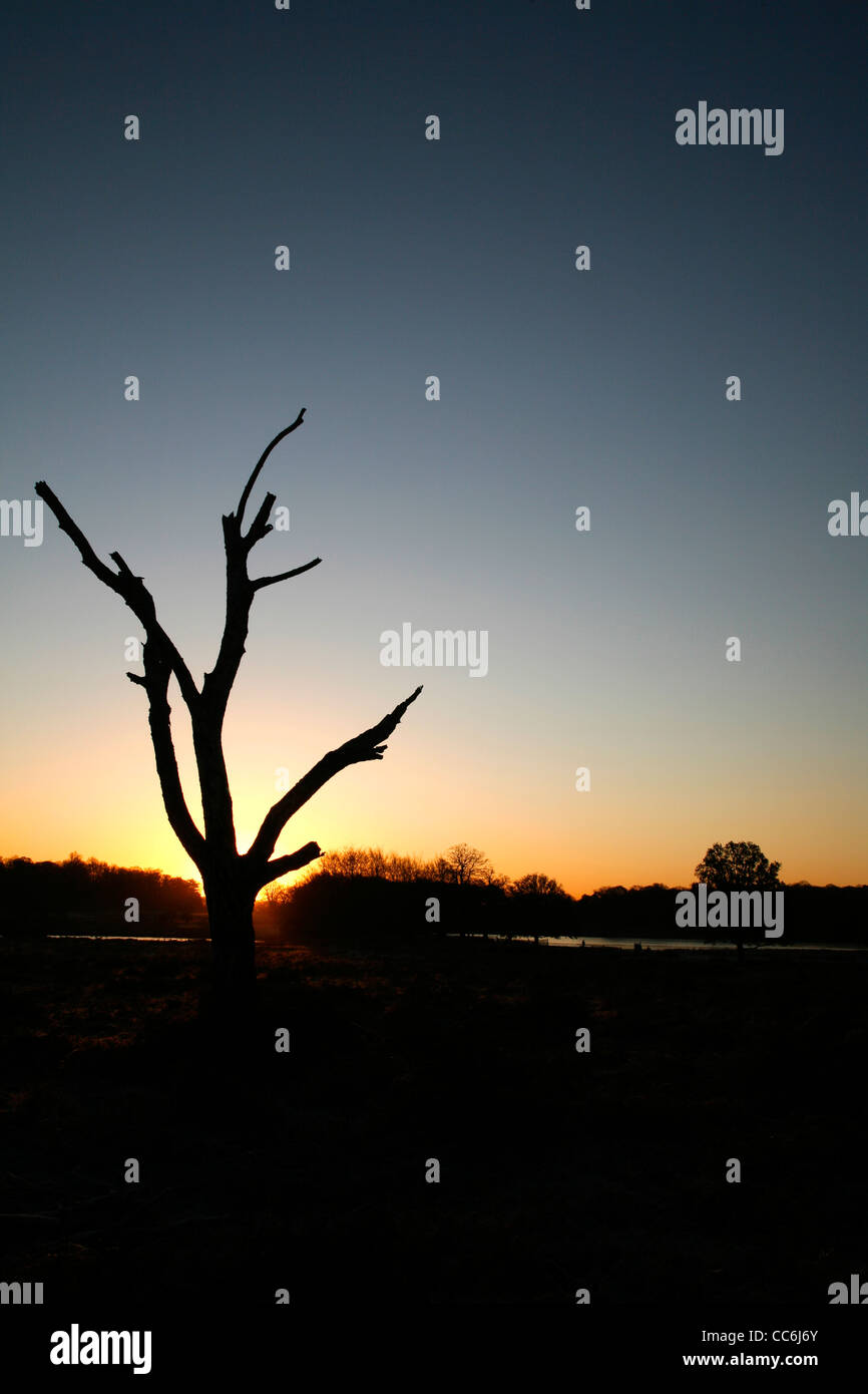 The rising sun richmond hi-res stock photography and images - Alamy