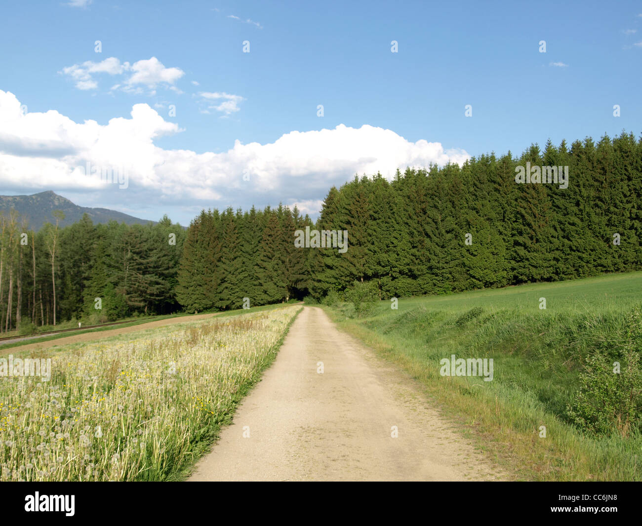 dirt road between meadows and wood with blue sky and clouds / Weg zwischen Wiesen und Wald, blauer Himmel und Wolken Stock Photo