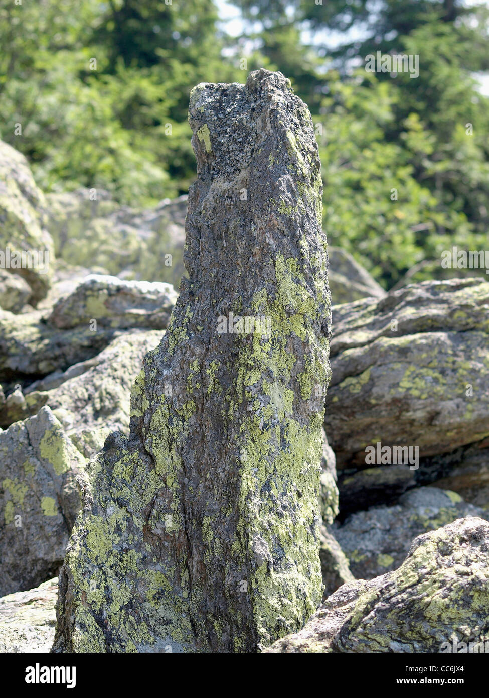 rock with lichen / Gestein mit Flechten Stock Photo