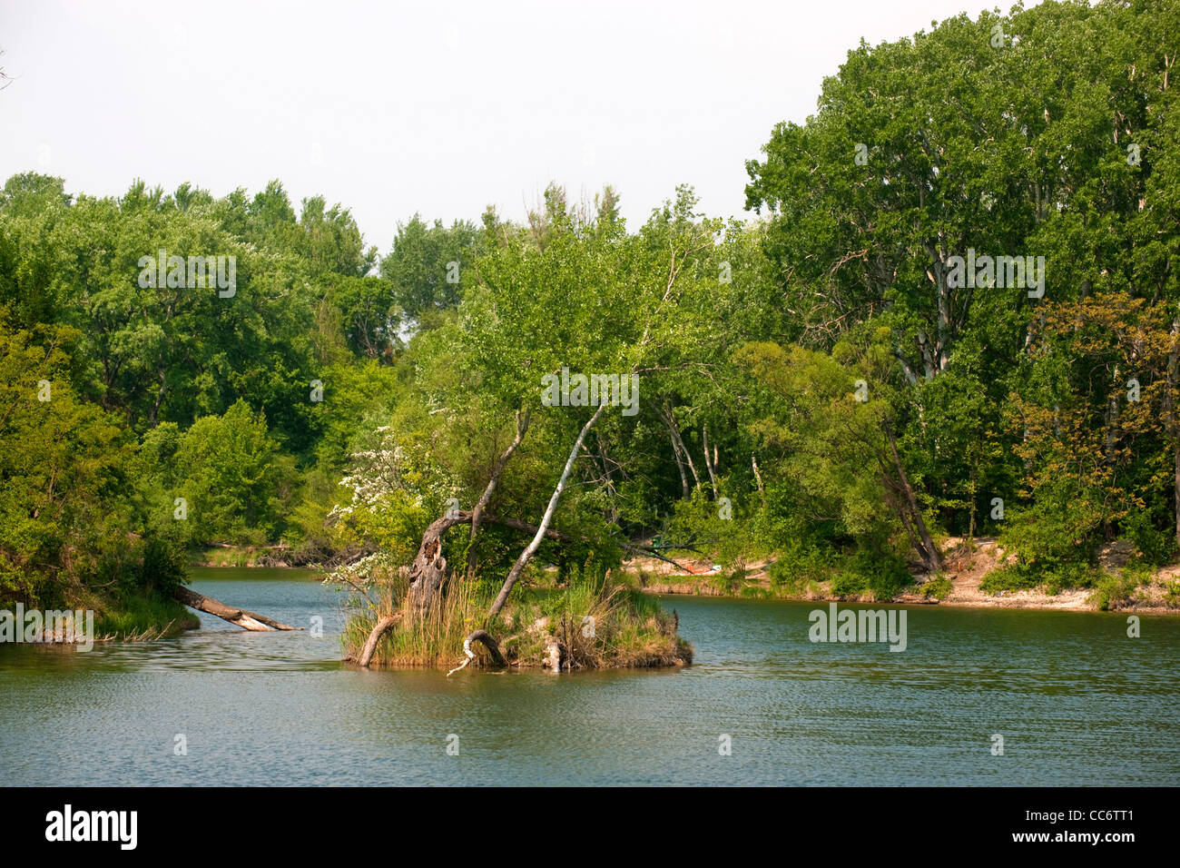 Österreich, Wien 22, Erholungsgebiet Lobau im Nationalpark Donau-Auen Stock  Photo - Alamy