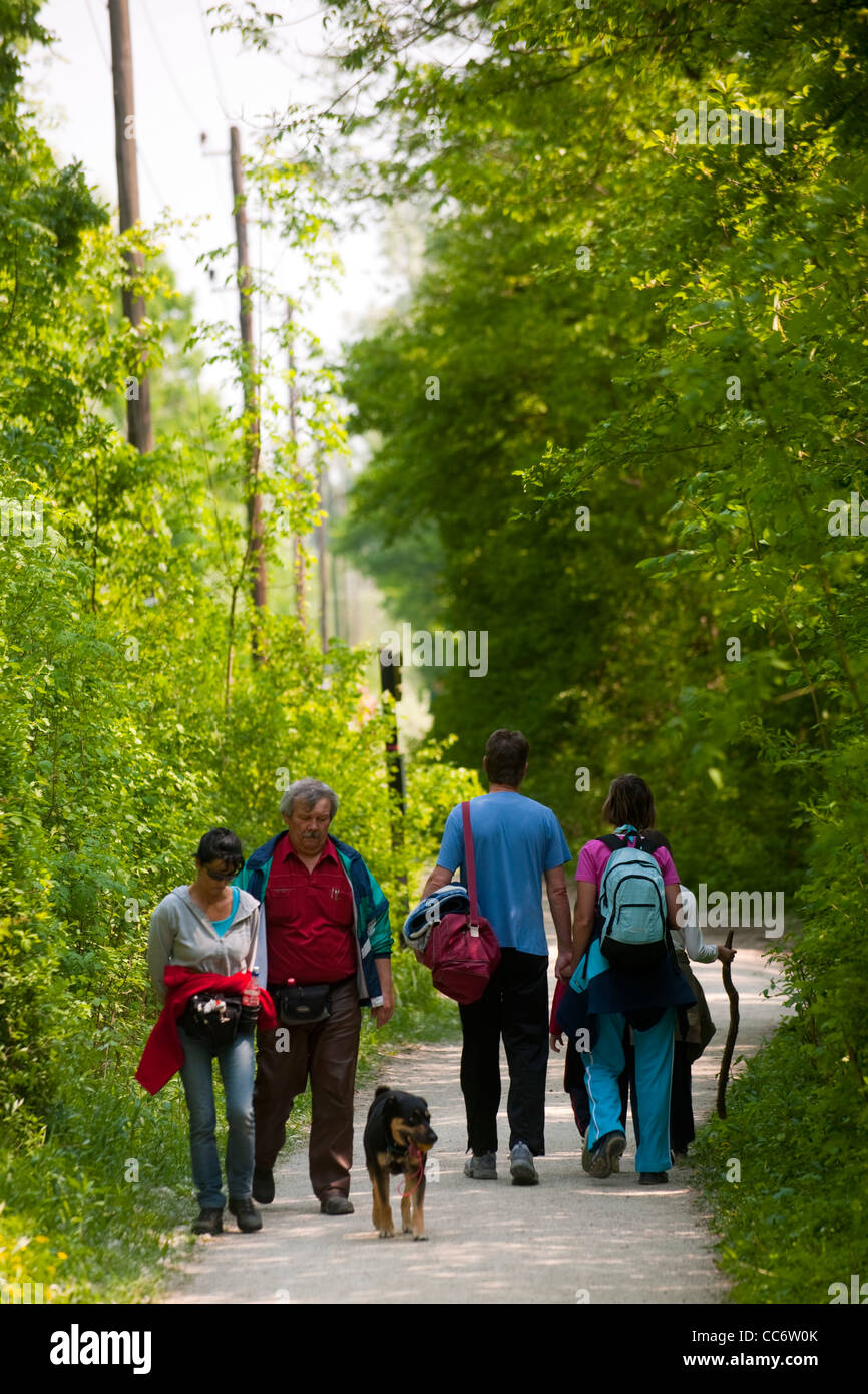 Österreich, Wien 22, Erholungsgebiet Lobau im Nationalpark Donau-Auen, Spaziergänger Stock Photo